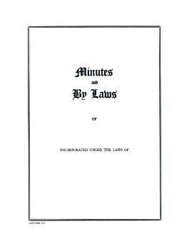 Minutes& Bylaws and Operating Agreements