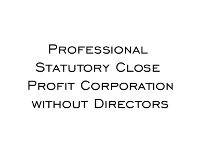 Minutes and Bylaws Professional Statutory Close Profit Corporation