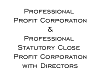 Minutes and Bylaws for Professional Profit Corporation