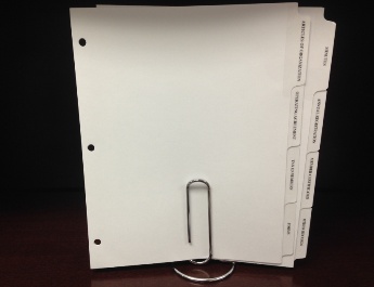 StockSmith Limited Liability Company Tab Divider Set with 8 Tabs